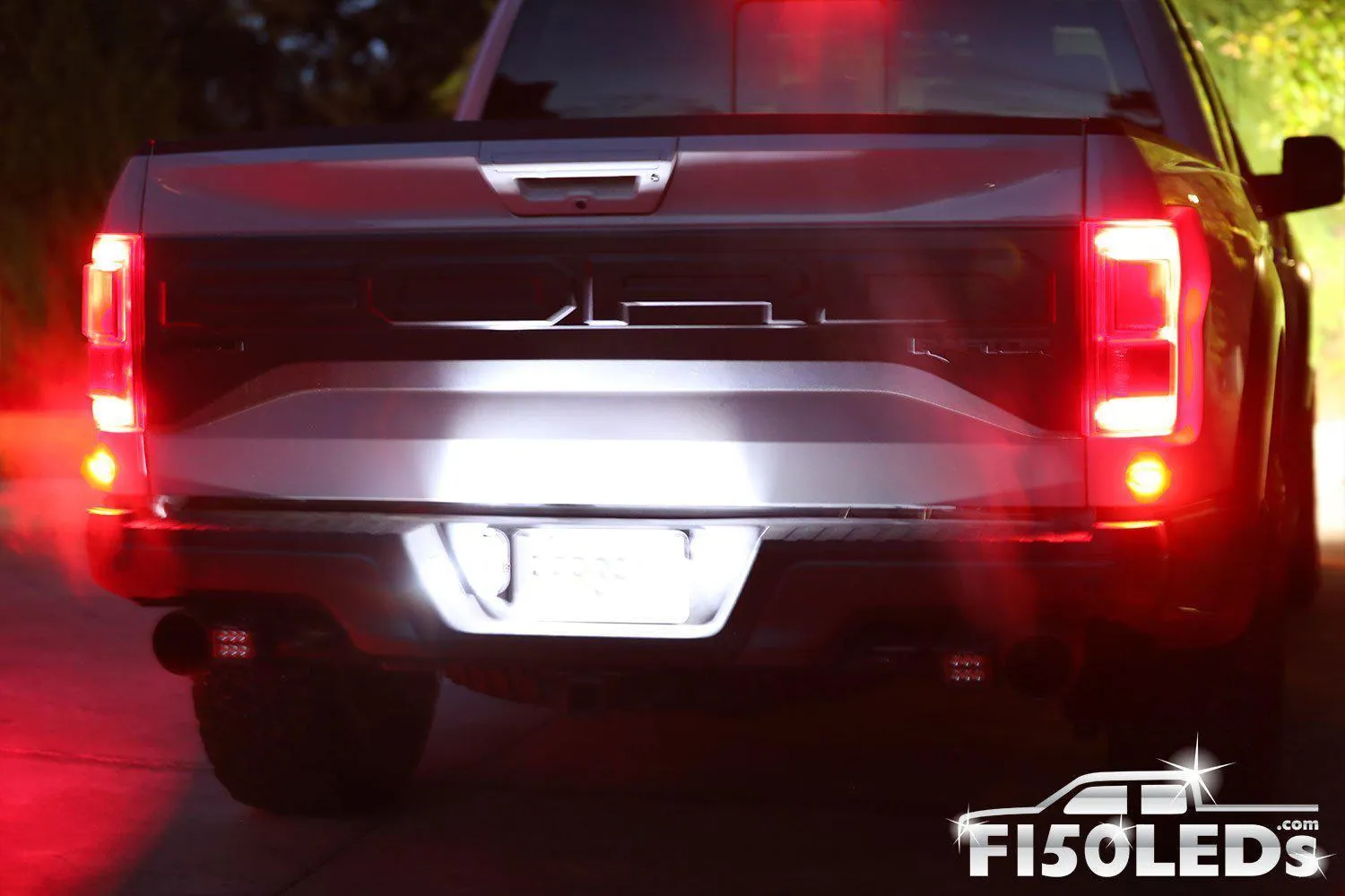 2017 - 2020 F150 RAPTOR TAG LED BULBS