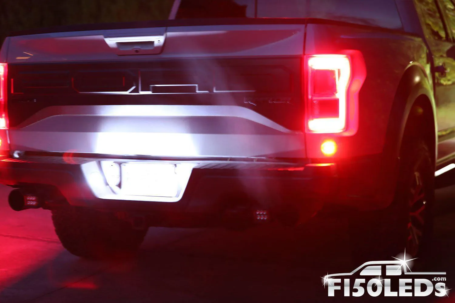 2017 - 2020 F150 RAPTOR TAG LED BULBS