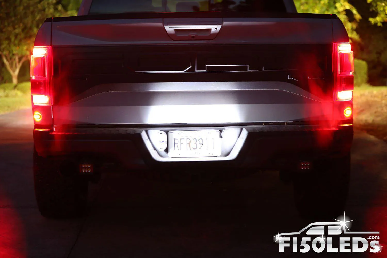 2017 - 2020 F150 RAPTOR TAG LED BULBS