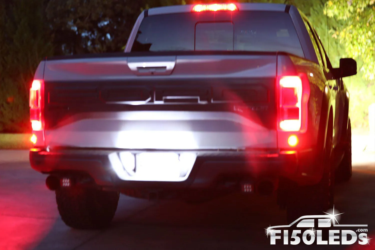 2017 - 2020 F150 RAPTOR TAG LED BULBS