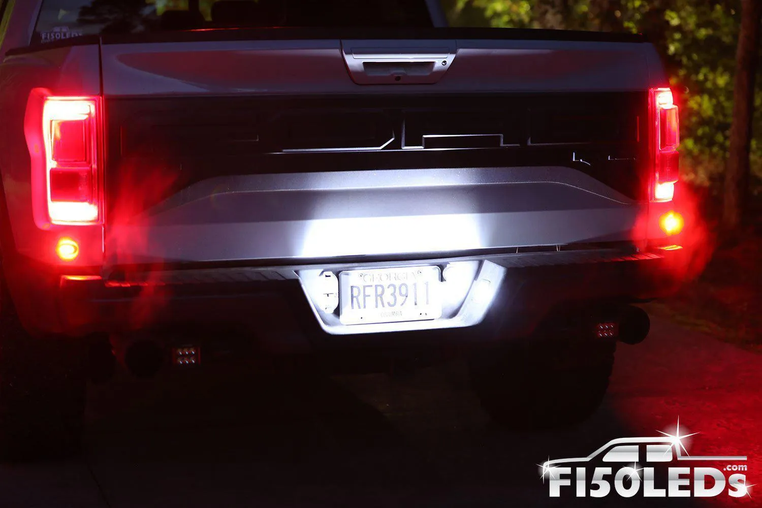 2017 - 2020 F150 RAPTOR TAG LED BULBS