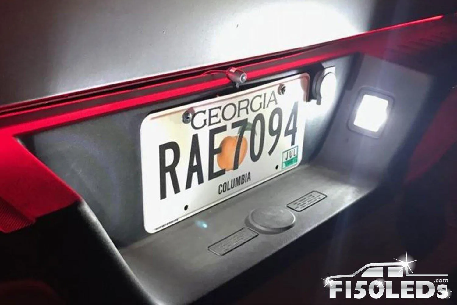 2017 - 2020 F150 RAPTOR TAG LED BULBS