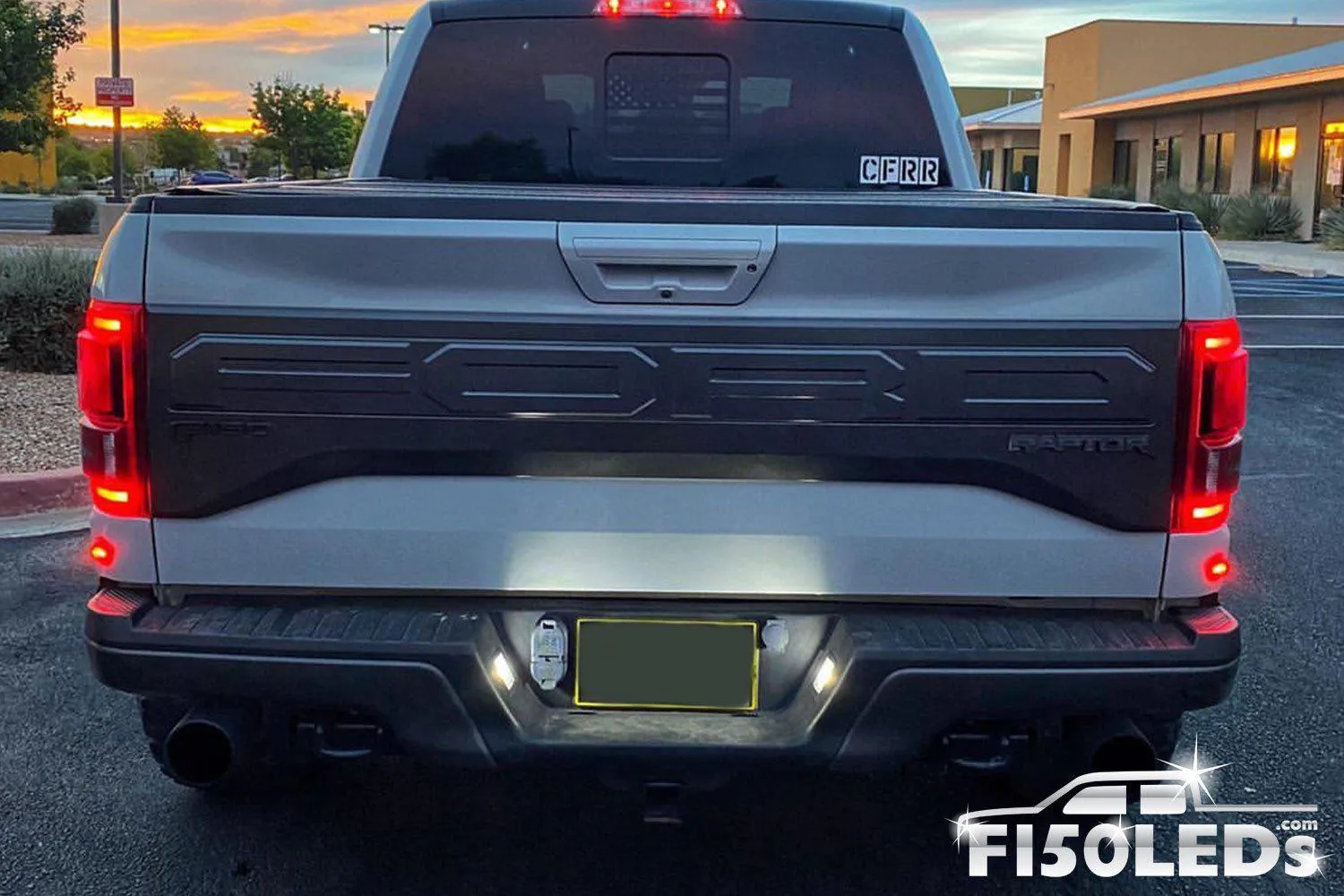 2017 - 2020 F150 RAPTOR TAG LED BULBS