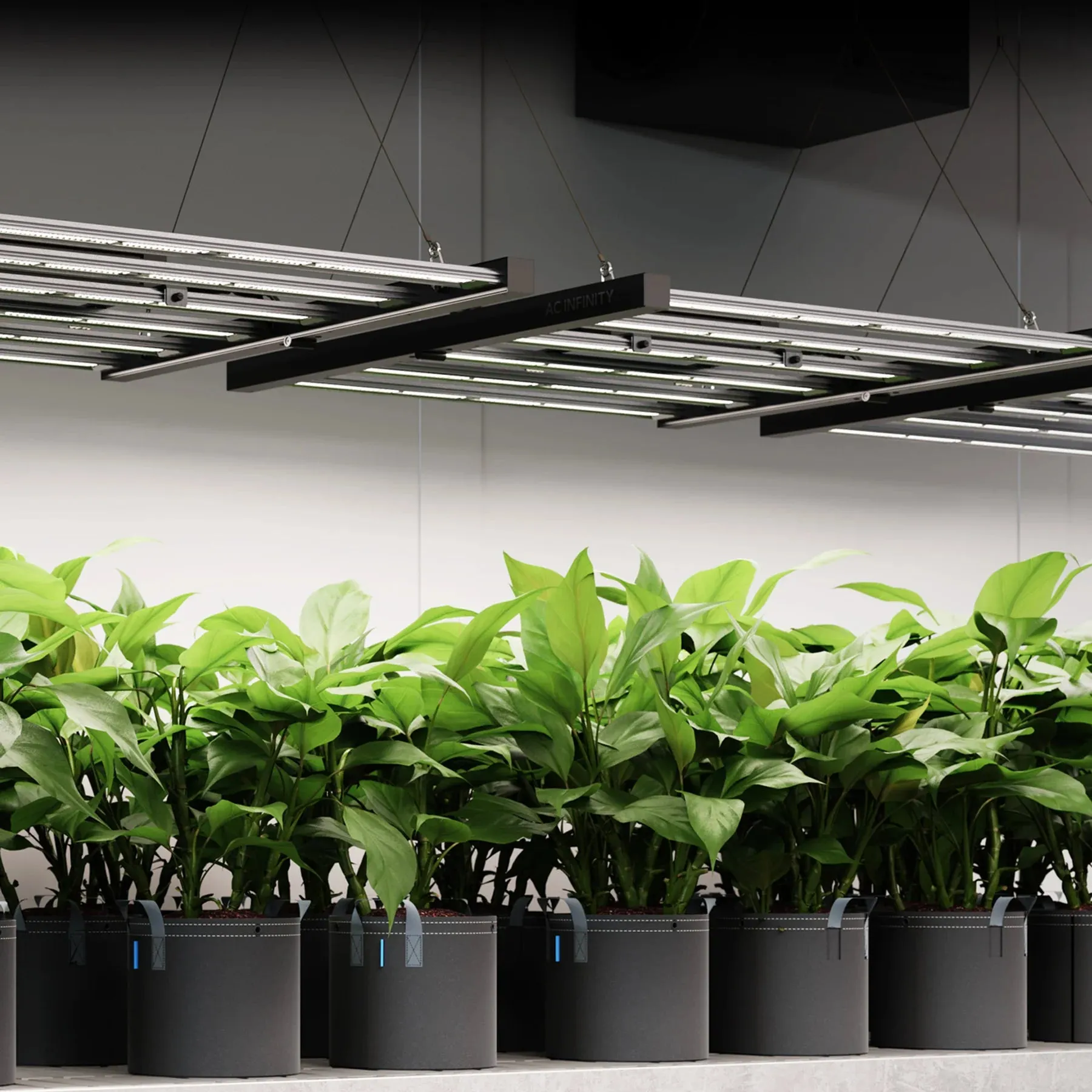 AC Infinity IonFrame EVO6 LED Grow Light - 500W (AC-IF6K)