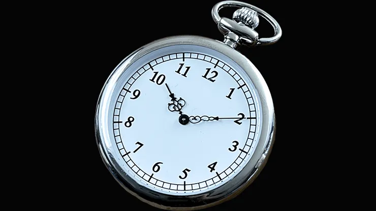 SB Watch Pocket Edition (Silver)