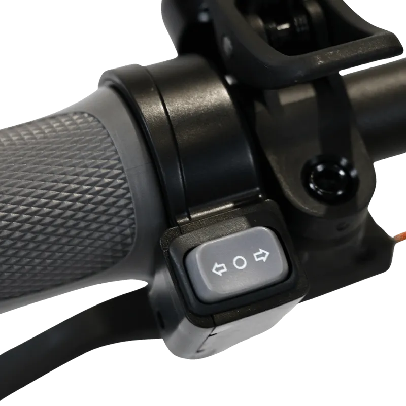 Segway Ninebot F65 Electric Scooter